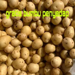 Kentang Rendang Baby Potato Gratis Bumbu Penyedap Kualitas Terbaik untuk Masakan Anda