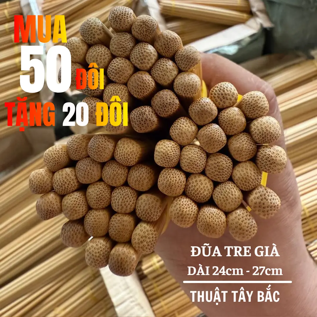 ĐŨA TRE GIÀ TÂY BẮC - DÀI 24-27CM - KHÔNG CONG VÊNH, BỀN ĐẸP, AN TOÀN