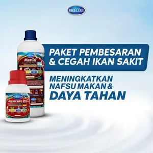 Bluecore Paket Maxoil & Aquacure Pro Vitamin Ikan Penggemuk, Meningkatkan Nafsu Makan dan Imunitas Ikan Koi, Koki, Louhan dan Ikan Hias