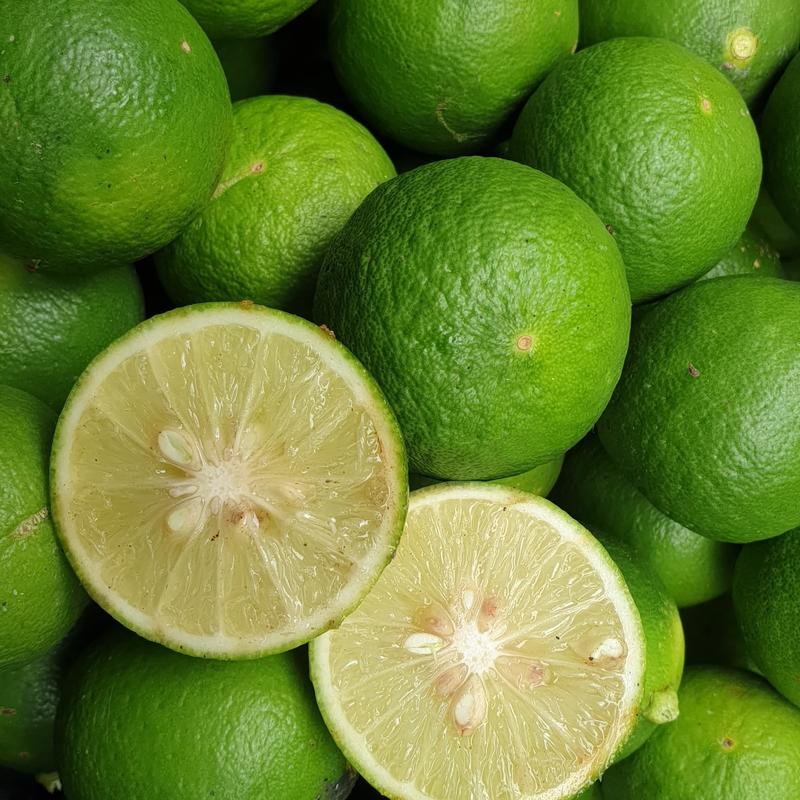 JERUK NIPIS 1 KG SEGAR , PETIK PETANI JERUK 1
