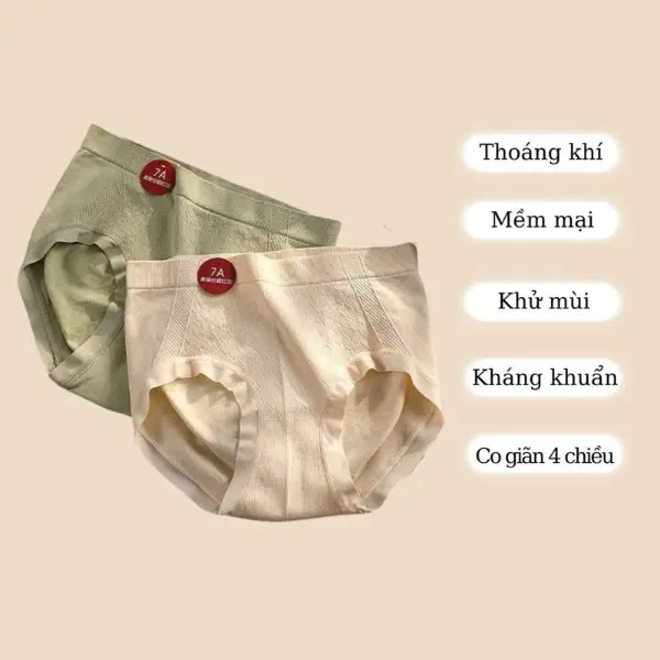 Combo 10 Quần Lót Nữ Cạp Cao Gen Cotton Mã 7A FreeSize 45-65kg Women 8