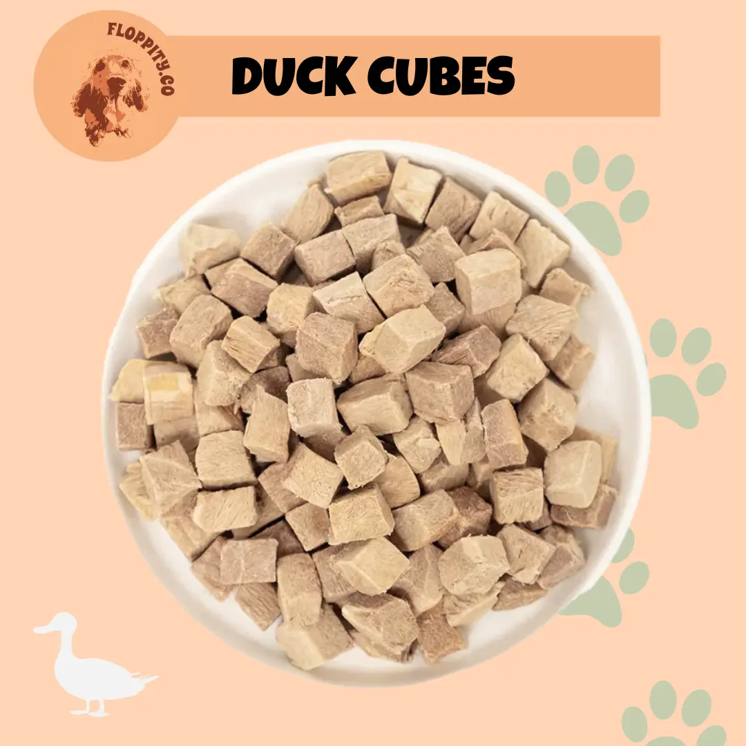Floppityco Dog and Cat Training Treats - Premium Freeze Dried Training Bites Cubes