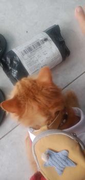 Product Review of Bye Bye Bau | Dr.Bulu - Deodorant Litter Box, Penghilang Bau Litter Box Kucing dan Anjing, Odor Remover Deodorizer from V**♍ 2