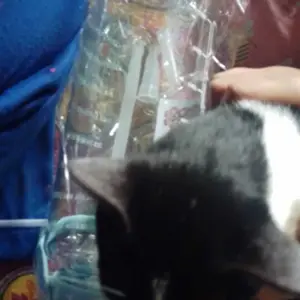 GOLDII - Botol Minum Jumbo 2 Liter Motivasi Transparan Bening BPA FREE