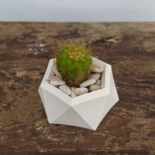 Paket lengkap kaktus sukulen POT HEXASHAPE artificial 6