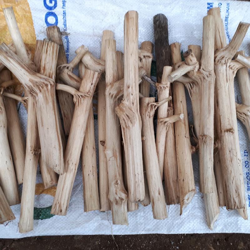 KERAJINAN KAYU,BAHAN KAYU TELOGOSARI 2