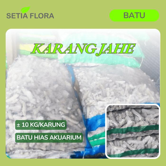 Gambar [INSTAN] Batu Alam Karang Jahe Media Aquarium Filter Kemasan Karungan Via INSTAN dari Setia Flora Kota Administrasi Jakarta Selatan Tokopedia
