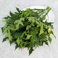 Gambar Daun Pepaya Jepang Konvensional 250 gram dari Sayurbox Kota Administrasi Jakarta Selatan 1 Tokopedia