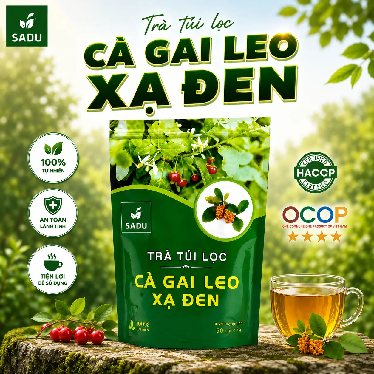 Trà Túi Lọc Cà Gai Leo Xạ Đen Sadu - Thảo Dược Tự Nhiên,Túi Lọc Tiện Lợi,An Toàn, Lành Tính