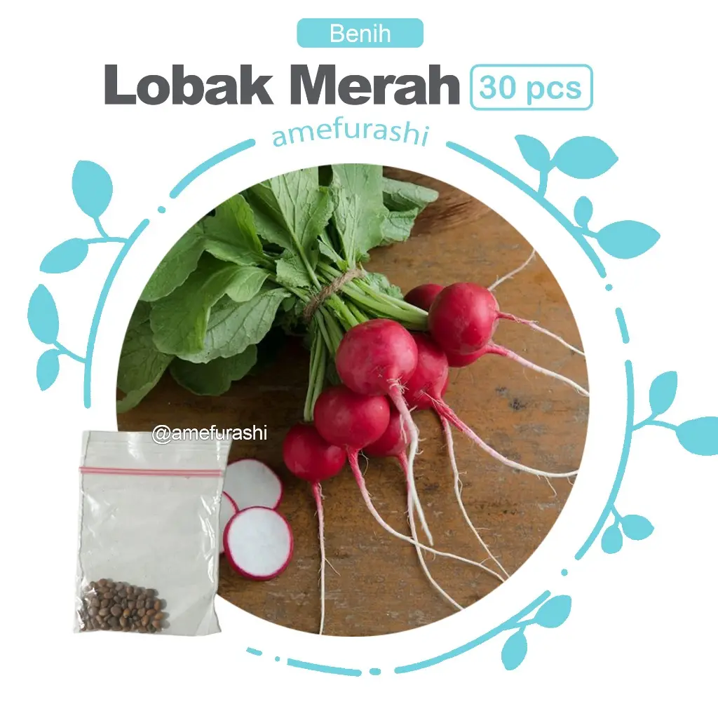 Lobak Merah 30 Biji