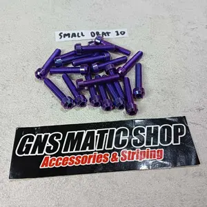 Baut Titanium (1BIJI) GR5 Drat 10 atau M6 Model Small Head Original Titanium