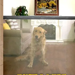 Pagar Jaring Penghalang Binatang Portable Pet Mesh Fence