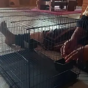 Kandang Besi Lipat 50x30x30 Kandang Kucing Kitten Kandang Burung Love Bird Kenari Ayam Sangkar Kandang kelinci
