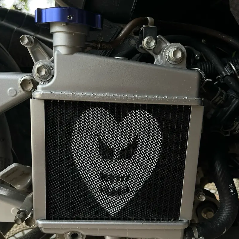 jaring radiator ala ala racing (SEMUA MOTOR) 5