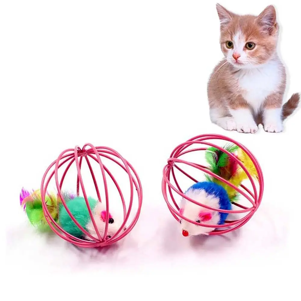 1PC Bite-resistant Interactive Kitten Pet Training Cat Accessories Cat Teaser Toy Cat Toys Cage Mouse Toy Pet Supplies