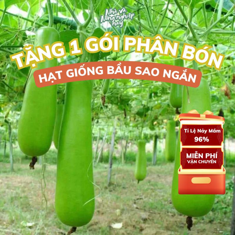   TẶNG PHÂN BÓN  Hạt giống Bầu Sao Thái Lan ngọt thơm dễ chăm dễ trồng phù hợp khí hậu 3 miền 