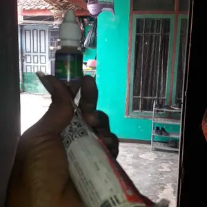 Sari Kecubung Wulung 100% Original Vitamin Burung Kicau Meningkatkan Stamina Power dan Konslet Burung
