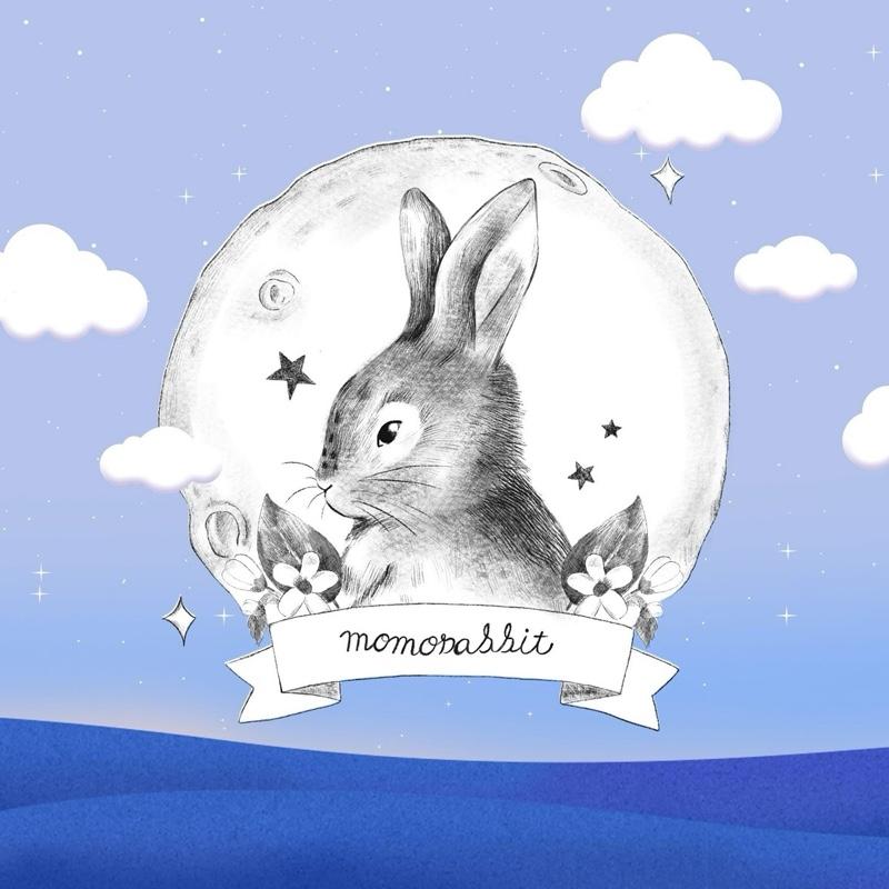  Combo 4 Bịch Bỉm Momo Rabbit Nội Địa Hàn Quốc 
