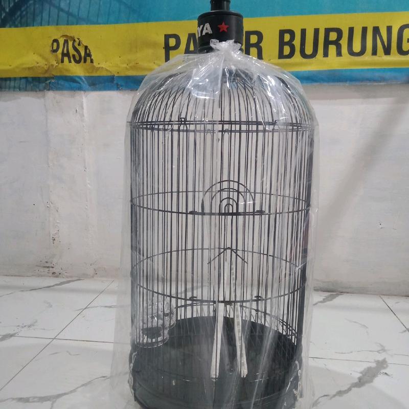 sangkar levebird oriq jaya vpc poloss bahan tebel ukuran lebar 33x33cm pengiriman seruruh indonesia 3