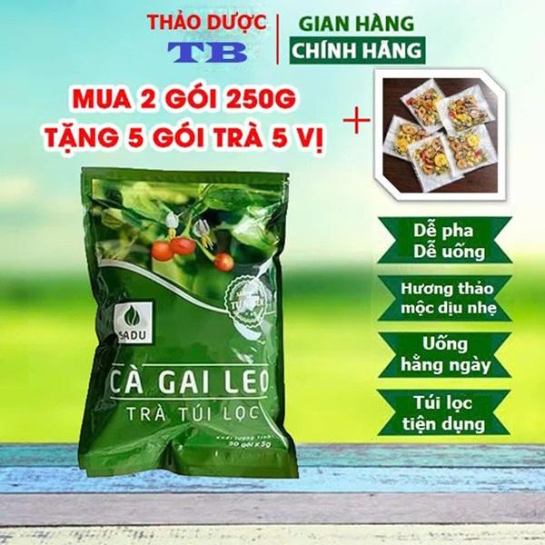 Trà Cà Gai Leo Túi Lọc Sadu Nguyên Chất 250g – Dễ Pha Dễ Uống Mua 2 Tặng 5 Gói Trà Dưỡng Nhan Ngũ Vị Thảo Mộc | Tea Nước Trà Chè 