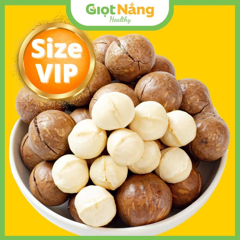 Hạt Macca Nứt Vỏ Mắc Ca Đăk Lăk Size Trung Dinh Dưỡng Hộp 500g Từ Nông Sản Giọt Nắng