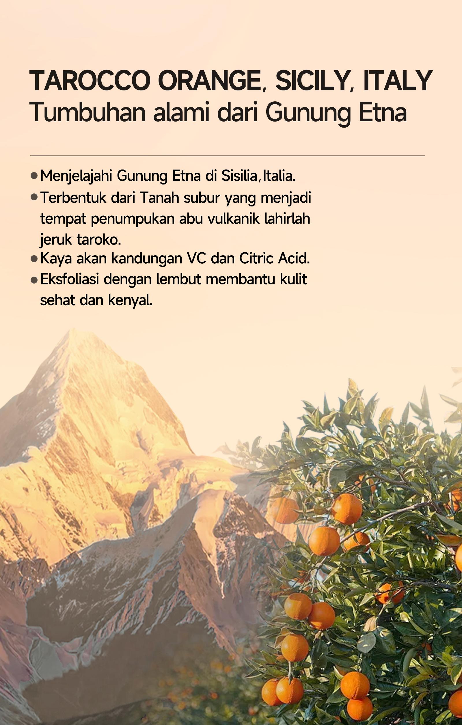 GMEELAN ORI 100% Orange Exfoliating Gel Face Eksfoliasi Wajah + Lazy Cream Day Cream Set Pemutih Wajah Skincare Kit GMEELAN ORI 100% Orange Exfoliating Gel Face Eksfoliasi Wajah + Lazy Cream Day Cream Set Pemutih Wajah Skincare Kit