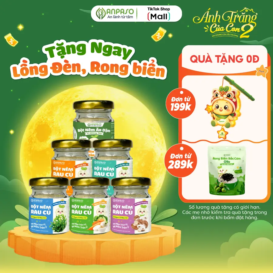 Hạt Nêm cho bé Anpaso Vị Rau Củ 60gr - Gia Vị tiện lợi - Bột nêm thành phần nguyên liệu tự nhiên