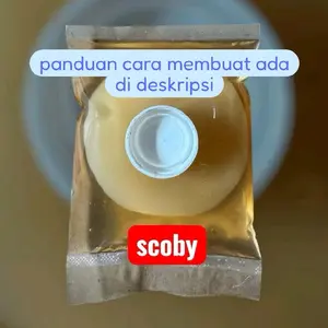mohon dibaca scoby per lembar  dalam 1 lembar disertakan 100 ml starter  jika pembelian 3 maka akan dijadikan dalam satu kemasan dengan starter 300 ml