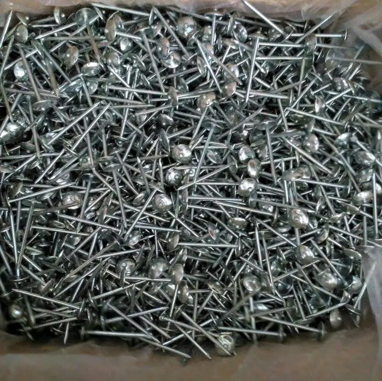 PAKU SENG POLOS 2" - PAKU SENG @1KG - TAHAN KARAT