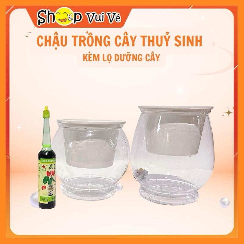 Chậu trồng cây thuỷ sinh hay chậu tự tưới thông minh kèm lọ dưỡng