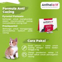 Gambar KALBE Anthel Cat Obat Cacing Kucing - 1 Tablet dari Kalbe Animal Health Kota Administrasi Jakarta Timur 4 Tokopedia