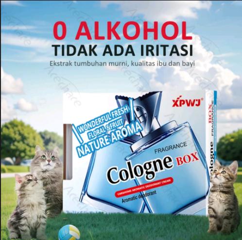 VISIONARY Penyegar udara dengan aroma tahan lama, bebas alkohol, dan sangat aman, penyegar udara mobil mewah, wajib dimiliki untuk mobil wanita, penyegar udara mobil, dekorasi interior mobil, aksesori mobil.