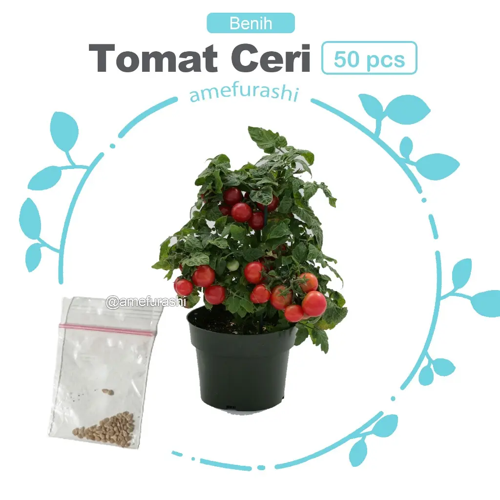 Tomat Ceri 50 Biji