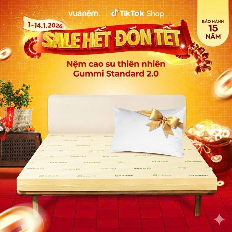    Tặng 1 gối bông  Nệm cao su thiên nhiên Gummi Standard 2.0 10cm VUA NỆM - Êm ái thoáng khí bền bỉ Bảo hành 15 năm natural  latex 
