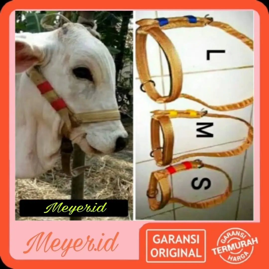 HEAD HALTER IKAT KEPALA BRANGUS BACOK SAPI, KAMBING ,KUDA, KERBAU ORIGINAL(ORI) LENGKAP