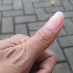 TOKO EBES Strap Tali Pengikat Barang Camping Rope Metal Quick Hook