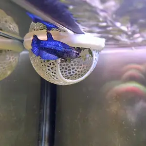 Floating Cave Goa Shelter Hide Fish Shrimp Aksesoris Aquarium Decor