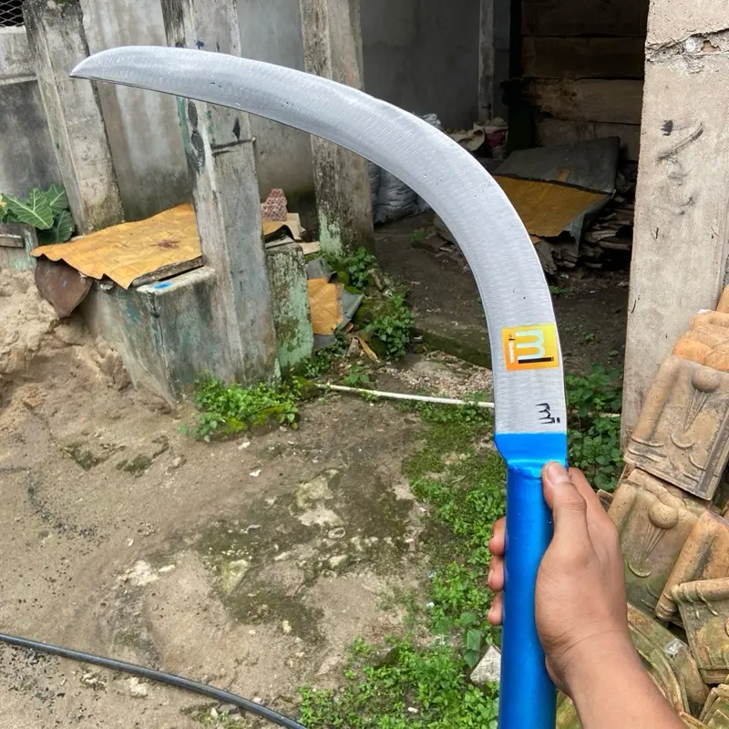 Egrek mi kolong tanduk atau taji 6