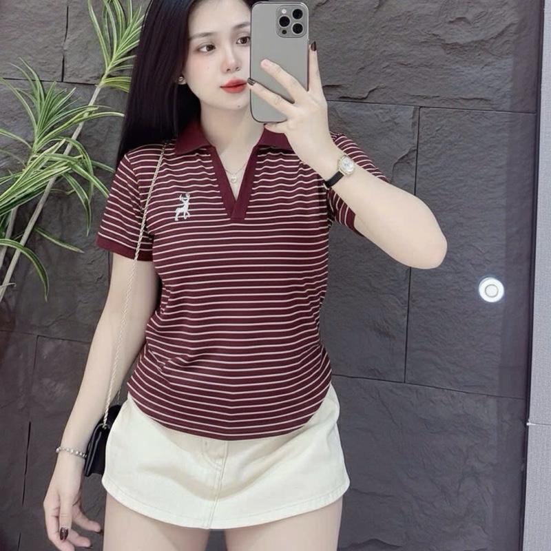 Bigsize 60 - 90kg Áo Thun Babytee Thêu Logo Tay Ngắn Chất Thun Borip