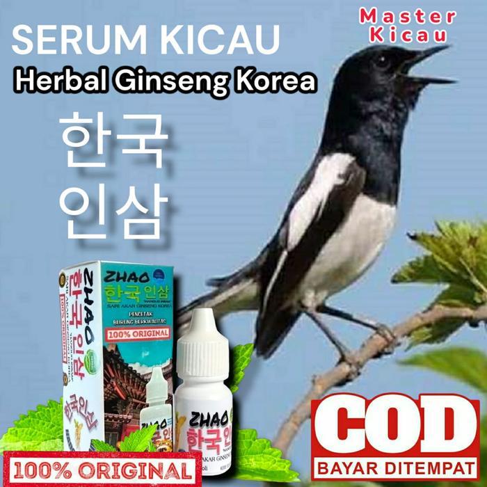 PELUNTUR LEMAK UNTUK SEMUA JENIS KICAUR
