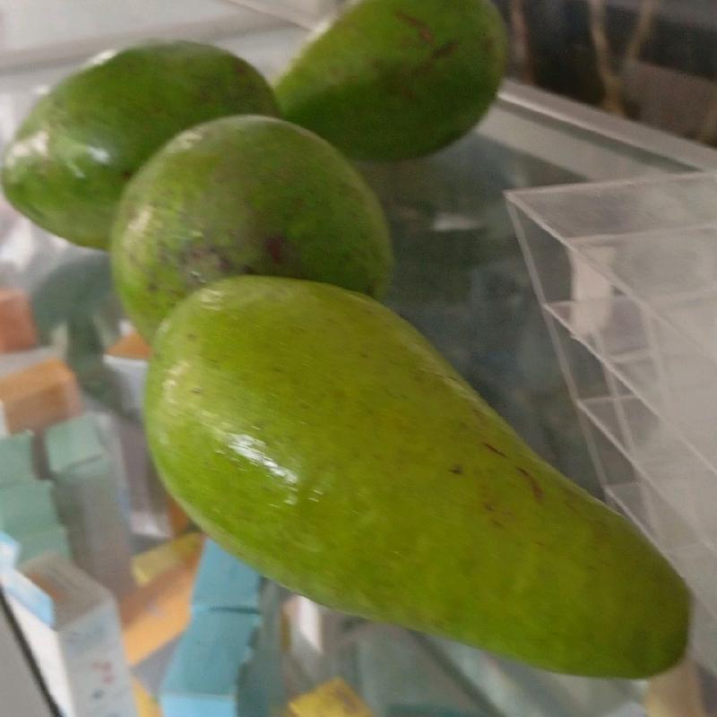 Alpukat mentega Reguler 1KG (isi 3 Buah) hass 3