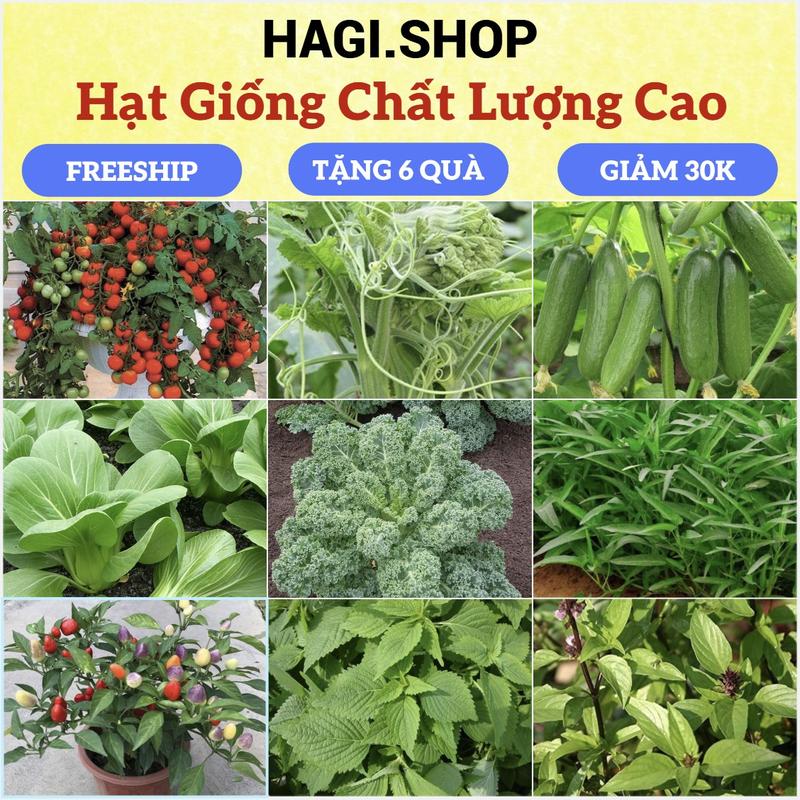  Hạt giống rau cải rau gia vị rau củ quả trồng quanh năm nảy mầm tốt  hàng công ty  