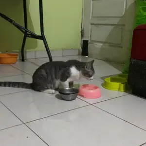 (LR)Rak Troli 4 Susun/Rak Dapur/ Rak Serbaguna Rak Model Segitiga Plastik Kokoh Kuat