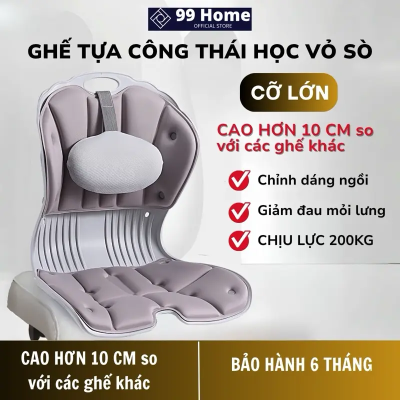 Ghế Bệt Tựa Lưng Vỏ Sò Tựa Giảm Đau Lưng, Chỉnh Dáng Ngồi, Chống Cong Vẹo Cột Sống, Tựa Lưng Ghế Có Đệm