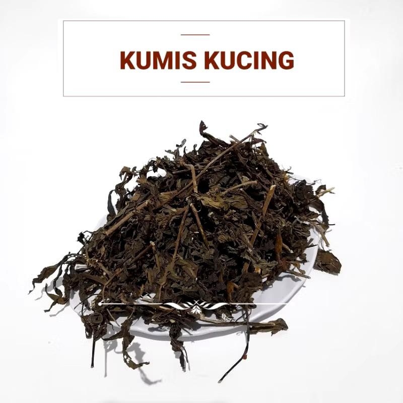 DAUN KUMIS KUCING KERING PREMIUM DAUN KUMIS KUCING KERING ORGANIK tanaman kumis kucing