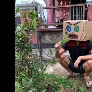 SENI KERAJINAN GAMBAR MUKA KARDUS ALIEN