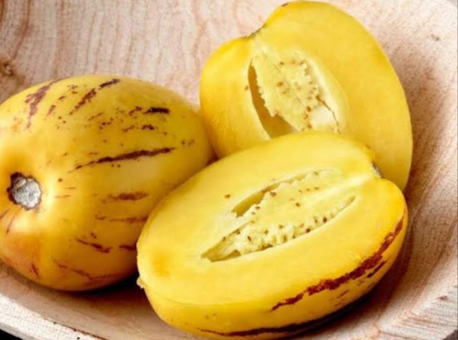 kemasan premium biji benih tanaman buah pepino kuning impor f1 ( isi -+ 100 butir biji benih)