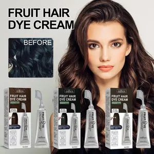 Fruit Hair Dye Cream Pewarna Rambut Eelhoe Chestnut Brown Black Brown Black 80ML Hitam Kering Cat Cherry Berry