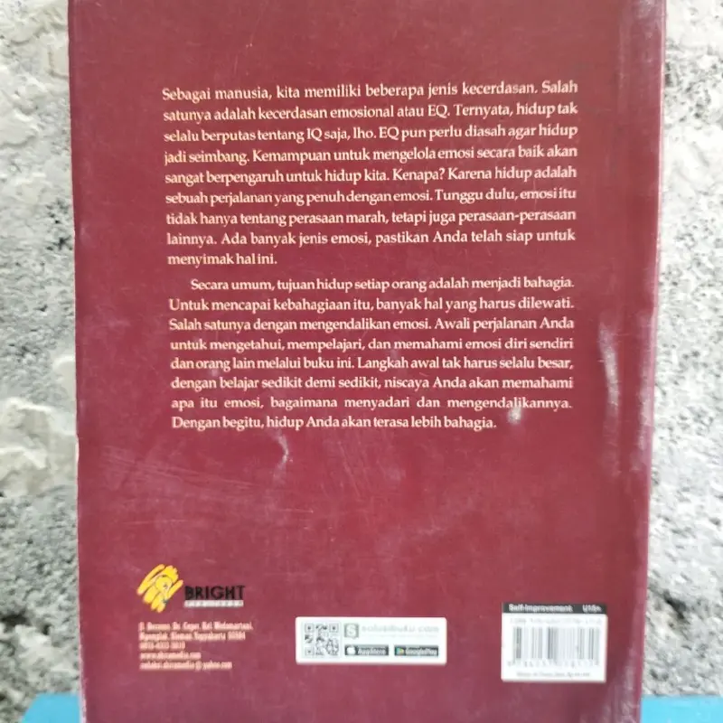 BUKU MOTIVASI / SENI MENGENDALIKAN EMOSI by Claudia 1