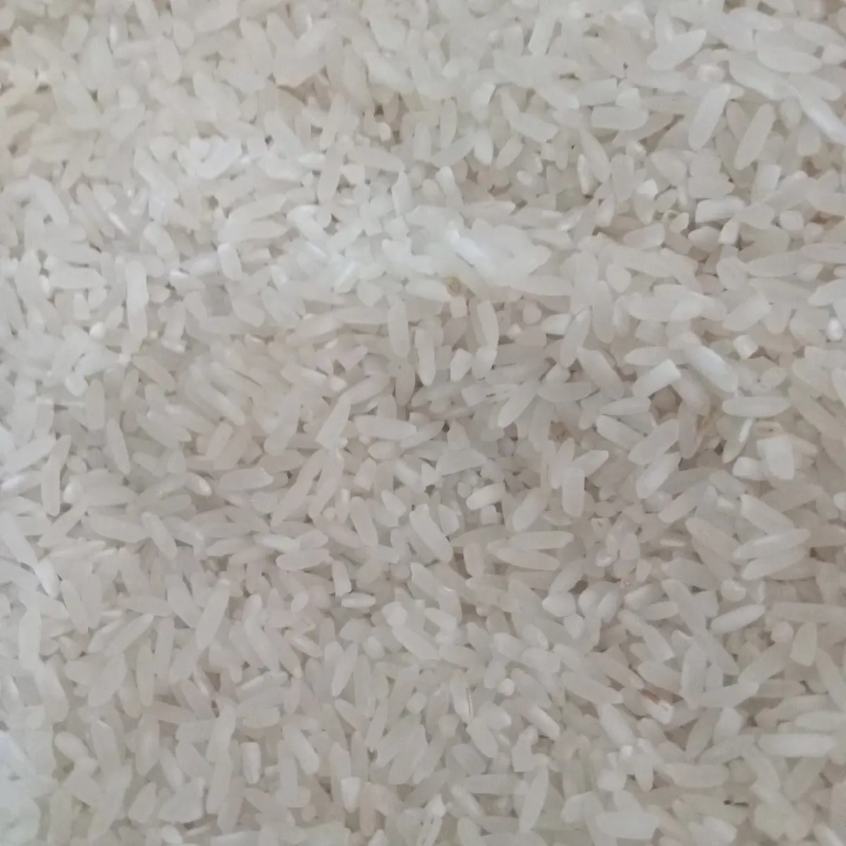 Beras Rojo Lele 1 kg - Beras Merah Lele 1 kg - Rice, Food, Diet, Bubur, Porang, Goreng, Toples